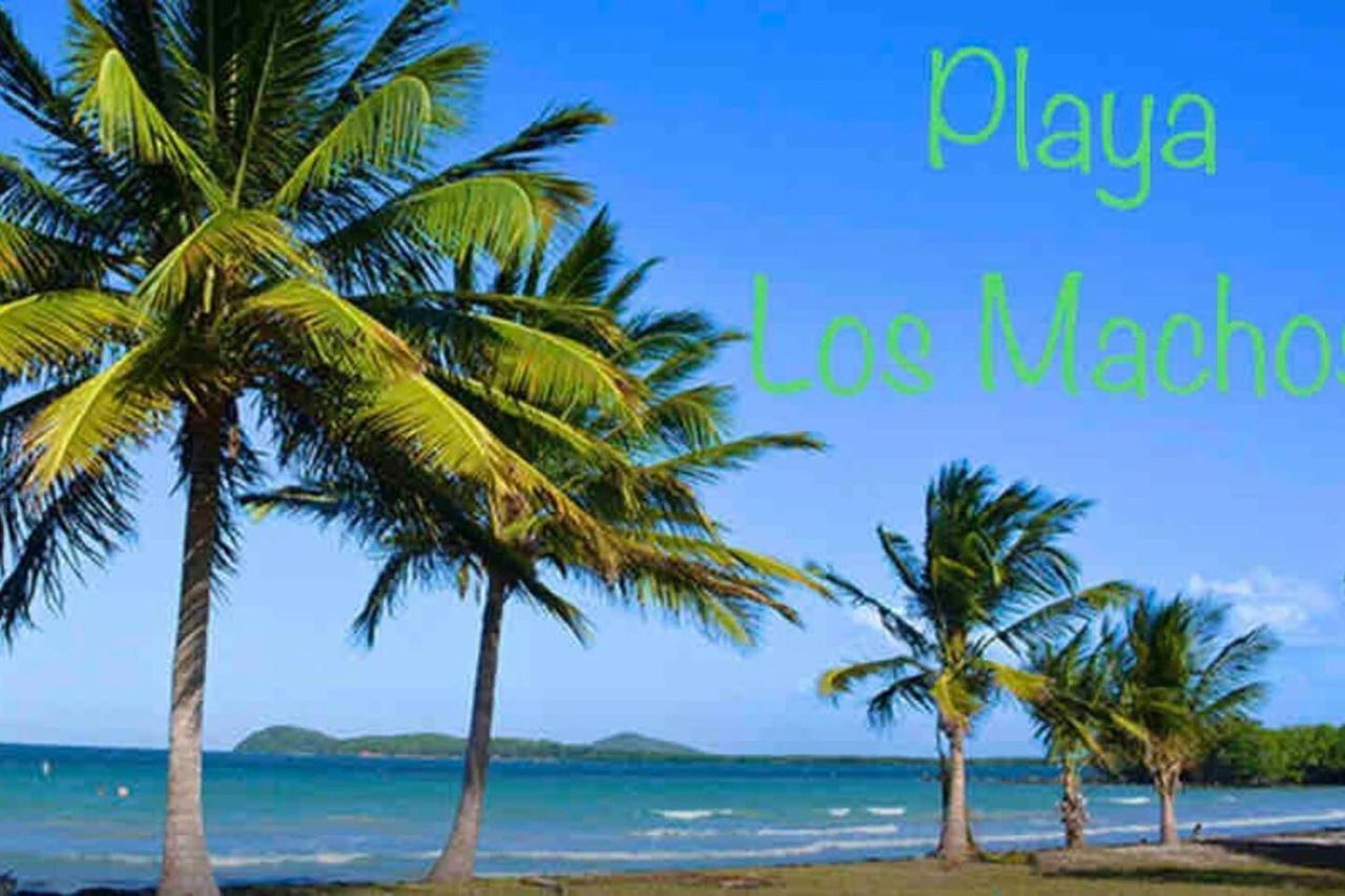 Ocean & Mountains View, Marina, Ferry, Vista Mar, Costa Esmeralda Ceiba Luaran gambar