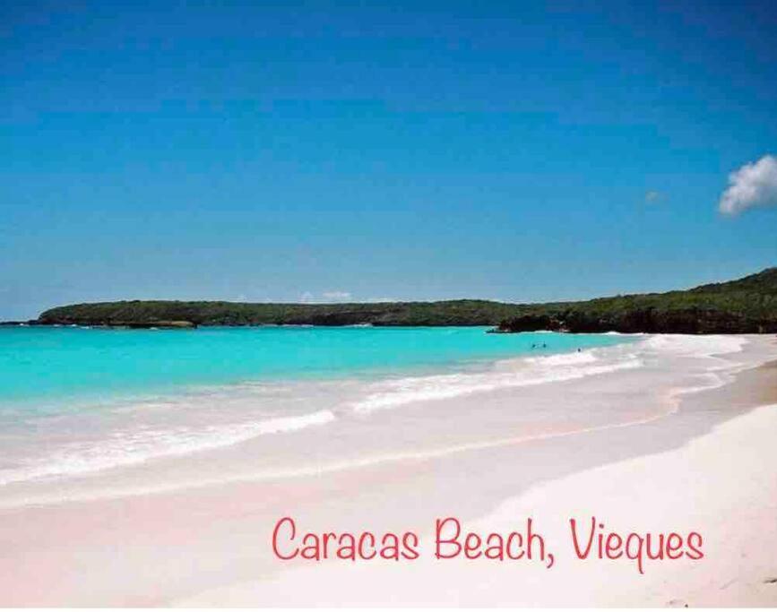 Ocean & Mountains View, Marina, Ferry, Vista Mar, Costa Esmeralda Ceiba Luaran gambar