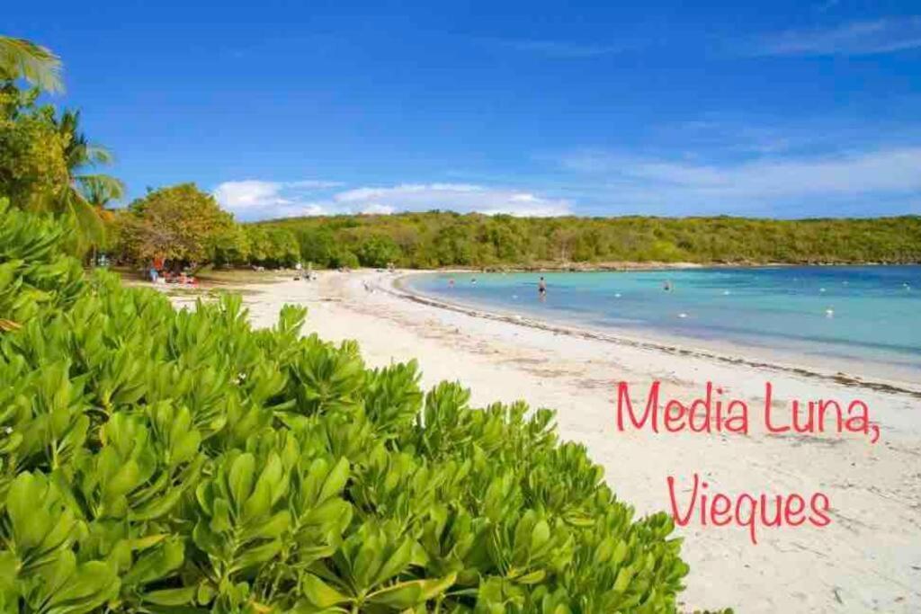 Ocean & Mountains View, Marina, Ferry, Vista Mar, Costa Esmeralda Ceiba Luaran gambar